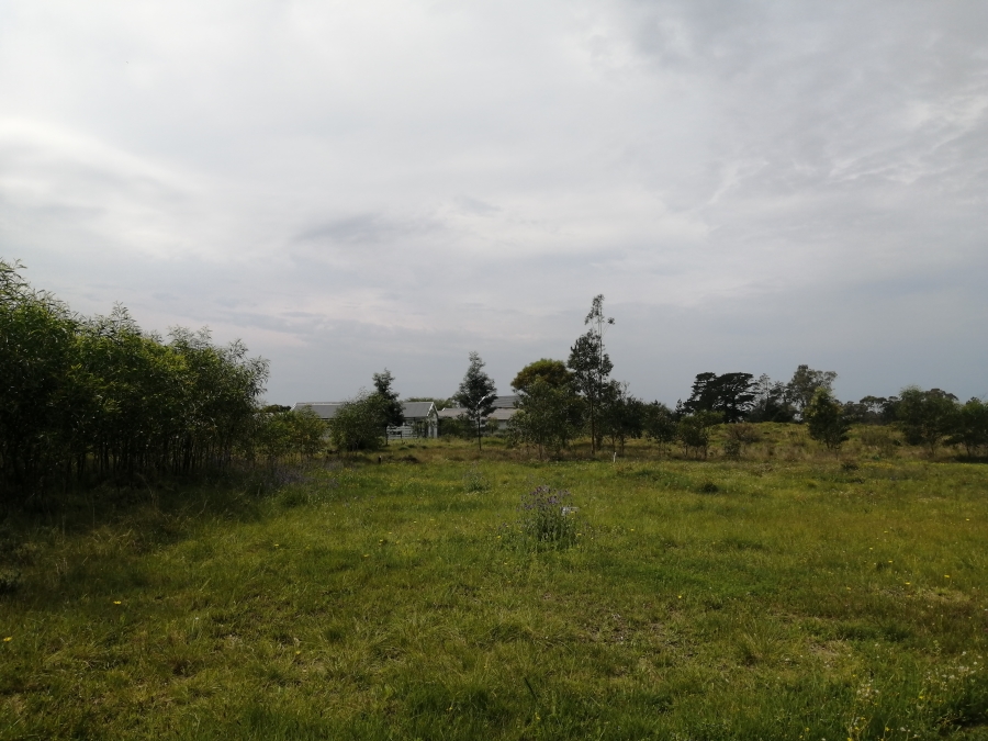 3 Bedroom Property for Sale in Wedgewood Golf Estate Eastern Cape